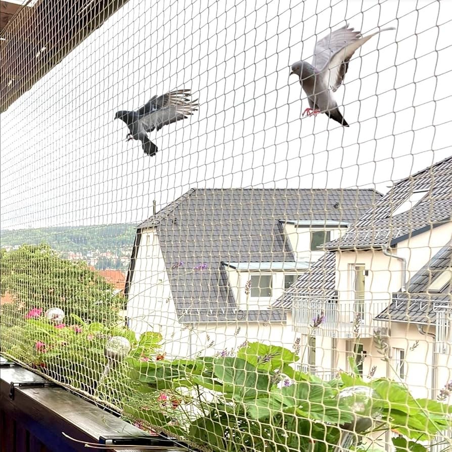 bird bird