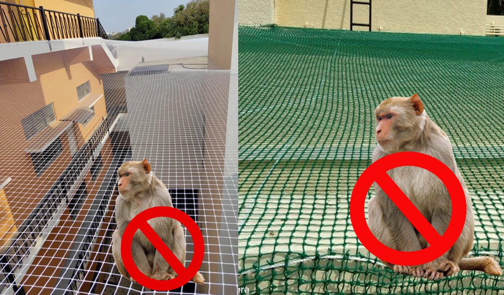 mon1 mon1